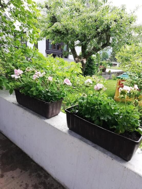 Apartamento Am Balkon Des Erzgebirges Bernsbach Exterior foto